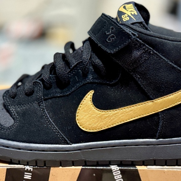DS Size 11.5 Rare Nike Dunk Mid Pro SB \